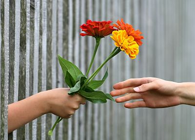 Una mano entrega flores, otra mano las recibe.